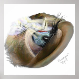 Póster Visión nublada