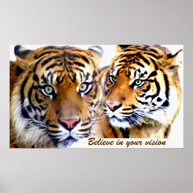 Póster Visions_ Poster (Frente)