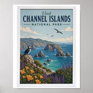 Póster Visita Channel Islands Parques Nacionales Viaje Vi
