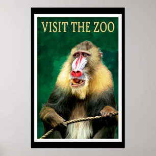 Póster Visita el Zoológico, cartel de viaje vintage