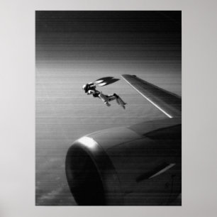 Póster Visitante