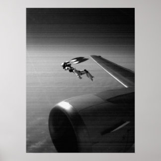 Póster Visitante