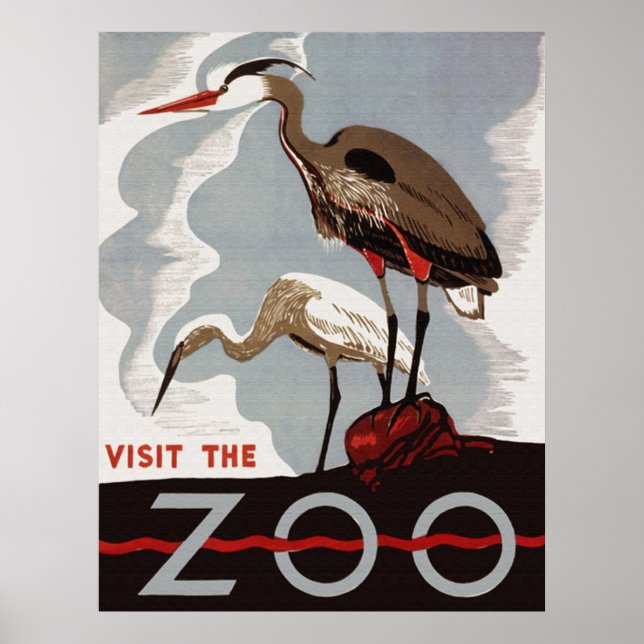 Póster Visite al Poster del Zoológico (Frente)