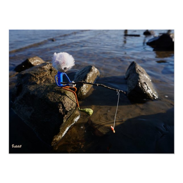 Póster Vissende Fubby op een steen. (Anverso)