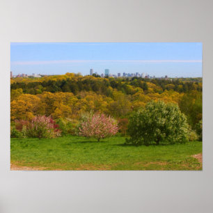 Póster Vista a Boston desde Peter's Hill, Arnold Arboretu
