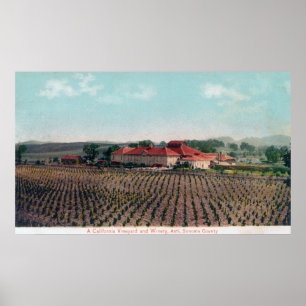Póster Vista aérea de un viñedo y bodega de California