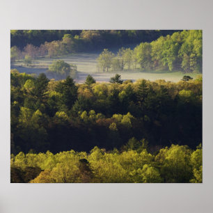 Póster Vista aérea del bosque en Cades Cove, Gran Smoky