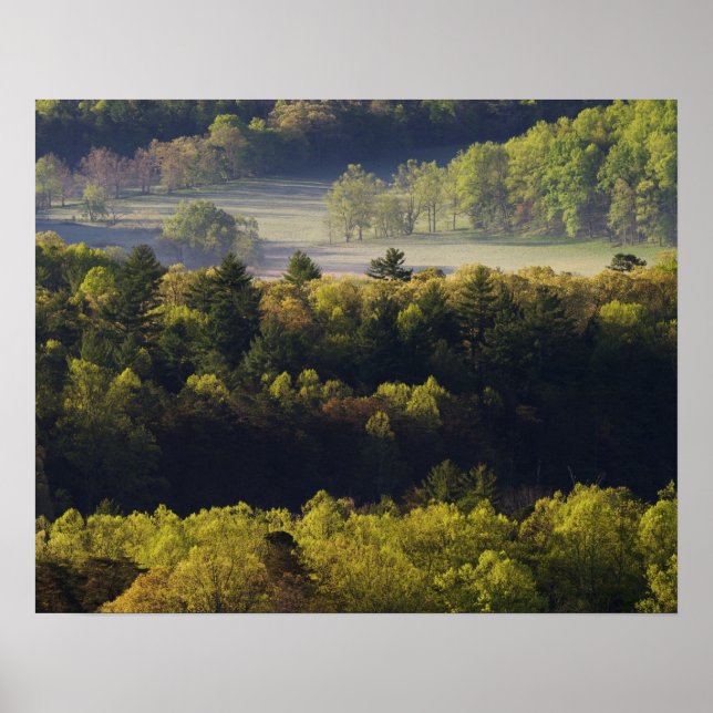 Póster Vista aérea del bosque en Cades Cove, Gran Smoky (Frente)