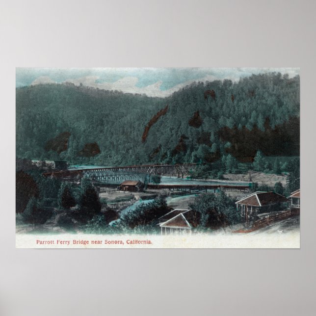 Póster Vista aérea del puente del ferry de ParrottSonora, (Frente)