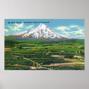 Póster Vista aérea del valle y de la montaña de Hood