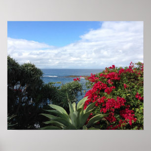 Póster Vista al mar del Laguna Beach
