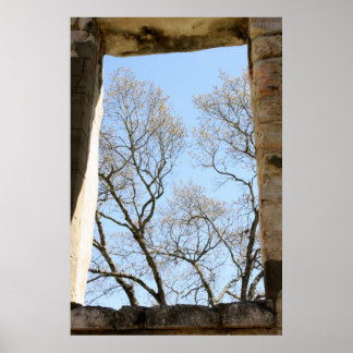 Póster Vista central de Texas