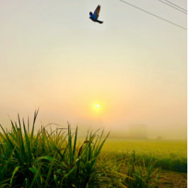 Póster vista de aldea matutina