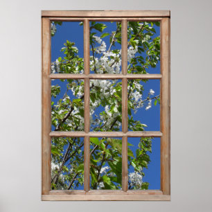 Póster Vista de árbol de flores desde una ventana