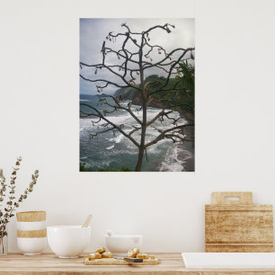 Póster Vista de árbol en la playa del océano hawaiano