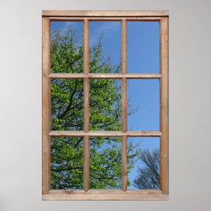 Póster Vista de árbol frondoso desde una ventana