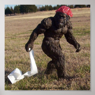 Póster Vista de Bigfoot
