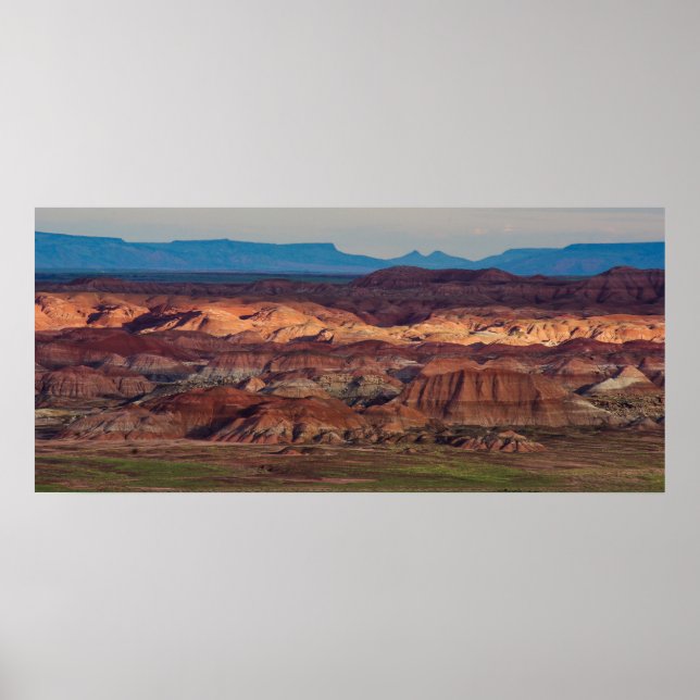 Póster Vista de bosque de Petrified (Frente)