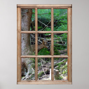 Póster Vista de bosques desde una ventana