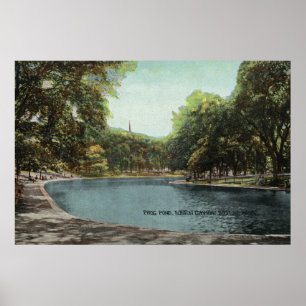 Póster Vista de Boston Common Frog Pond # 2