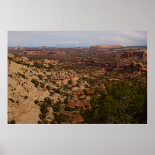 Póster Vista de Canyonlands desde el sendero Neck Springs