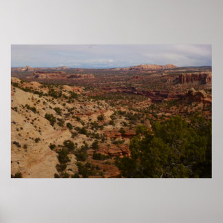 Póster Vista de Canyonlands desde el sendero Neck Springs