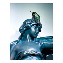 Póster vista de colibrí