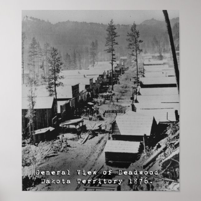 Póster Vista de Deadwood SD en 1876 (Frente)