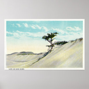 Póster Vista de Dorothy Bradford Steamer