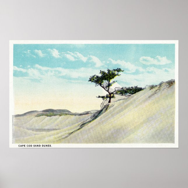 Póster Vista de Dorothy Bradford Steamer (Frente)