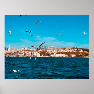 Póster Vista de Estambul con gaviotas en un cálido día so