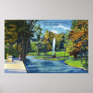 Póster Vista de Geyser Park