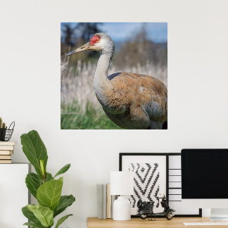 Póster Vista de la grulla