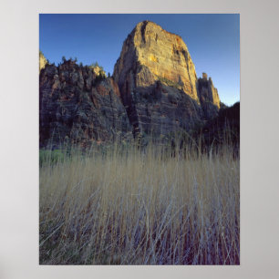 Póster Vista de la llanura de inundación del río Virgin, 