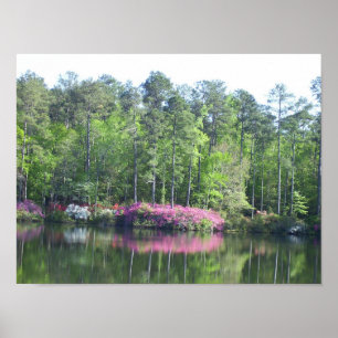 Póster Vista de lago