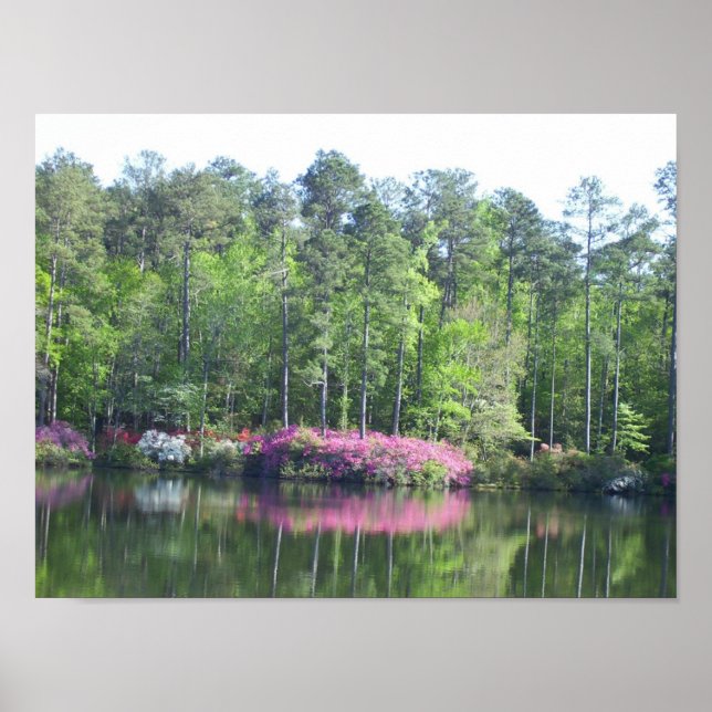 Póster Vista de lago (Frente)