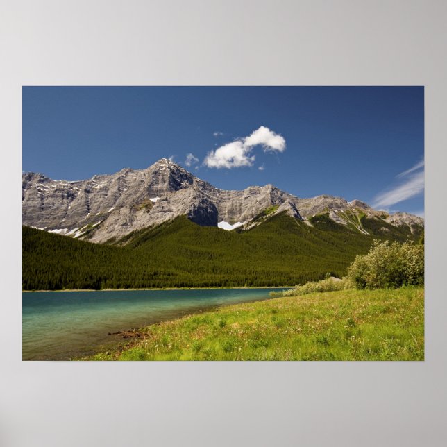 Póster Vista de lago (Frente)