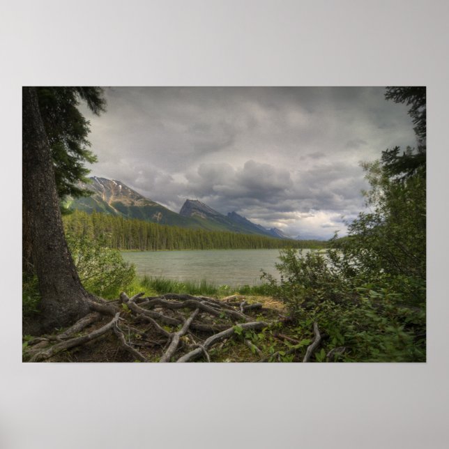 Póster Vista de lago (Frente)