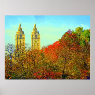 Póster Vista de Lago Central Park 2006