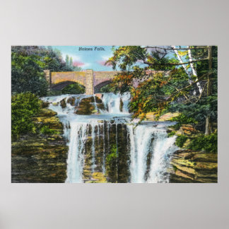 Póster Vista de las Cataratas de Haines