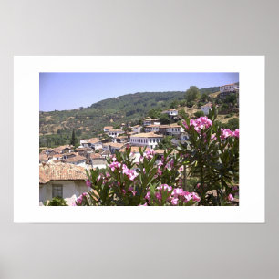 Póster Vista de las flores