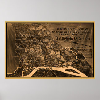 Póster Vista de los ojos de los pájaros shiloh