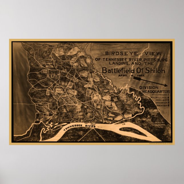 Póster Vista de los ojos de los pájaros shiloh (Frente)