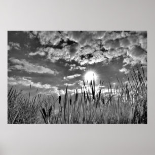 Póster Vista de ojos de pato