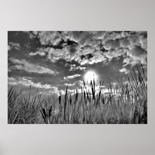 Póster Vista de ojos de pato (Frente)