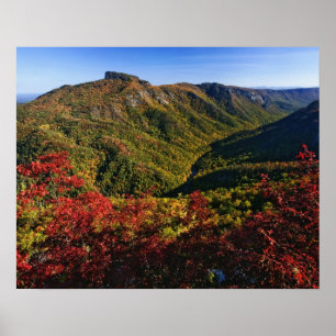 Póster Vista de otoño del desfiladero de Linville a menud