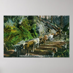 Póster Vista de Ox-Teams Hauling Logs
