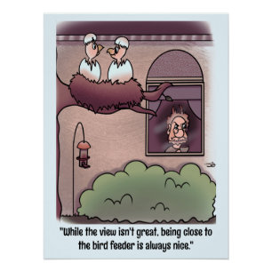 Póster Vista de pájaros