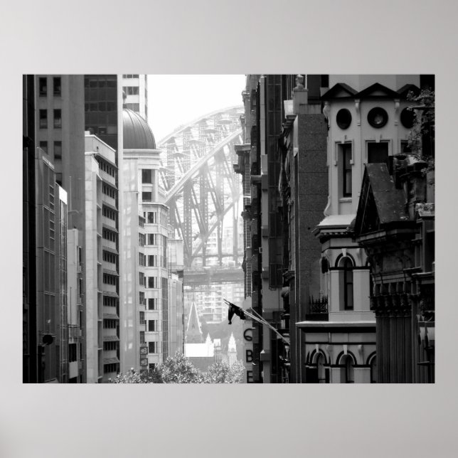 Póster Vista de puente de hábitos 1b (Frente)