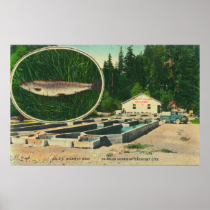 Póster Vista de Trout Haven HatcheryGasquet, CA